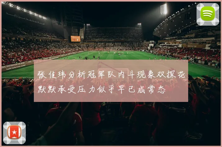 张佳玮分析冠军队内斗现象双探花默默承受压力似乎早已成常态